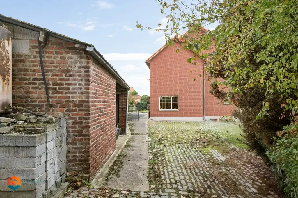 Jardin - Maison avec Jardin dans le Centre de Hoegaarden