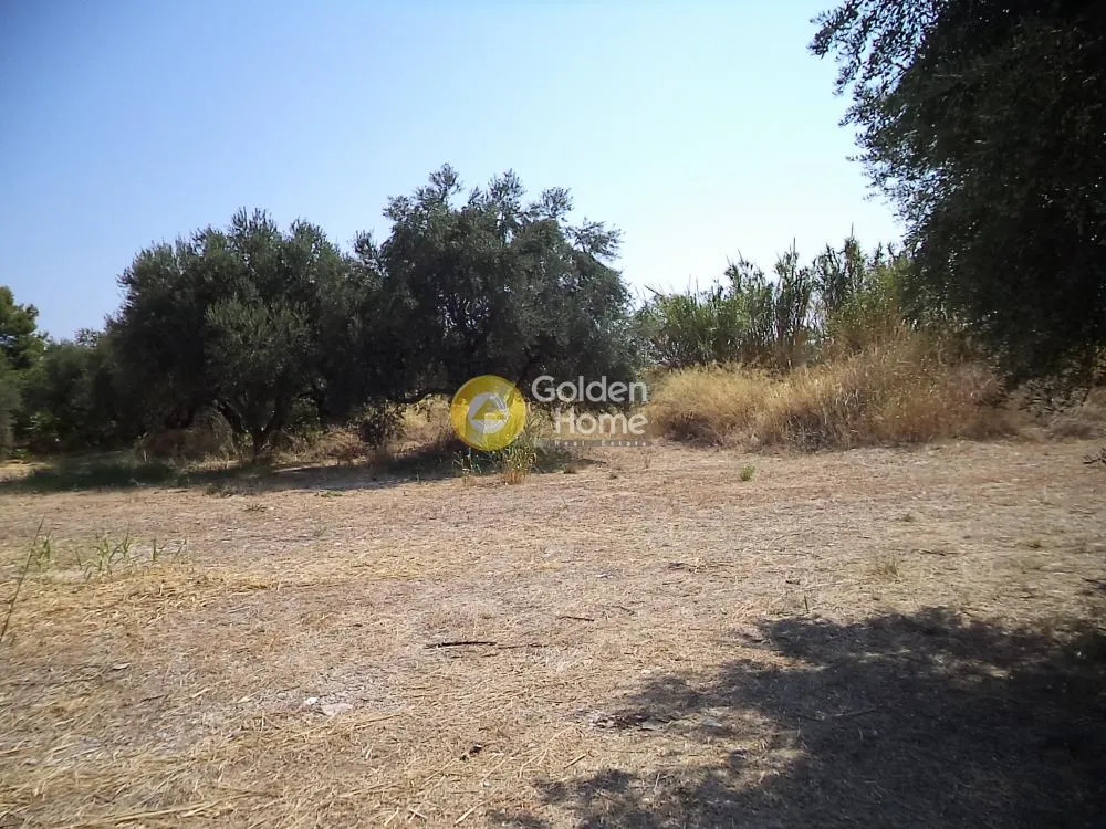 Jardin - Corner Plot with Sea View in Erineo - Búka
