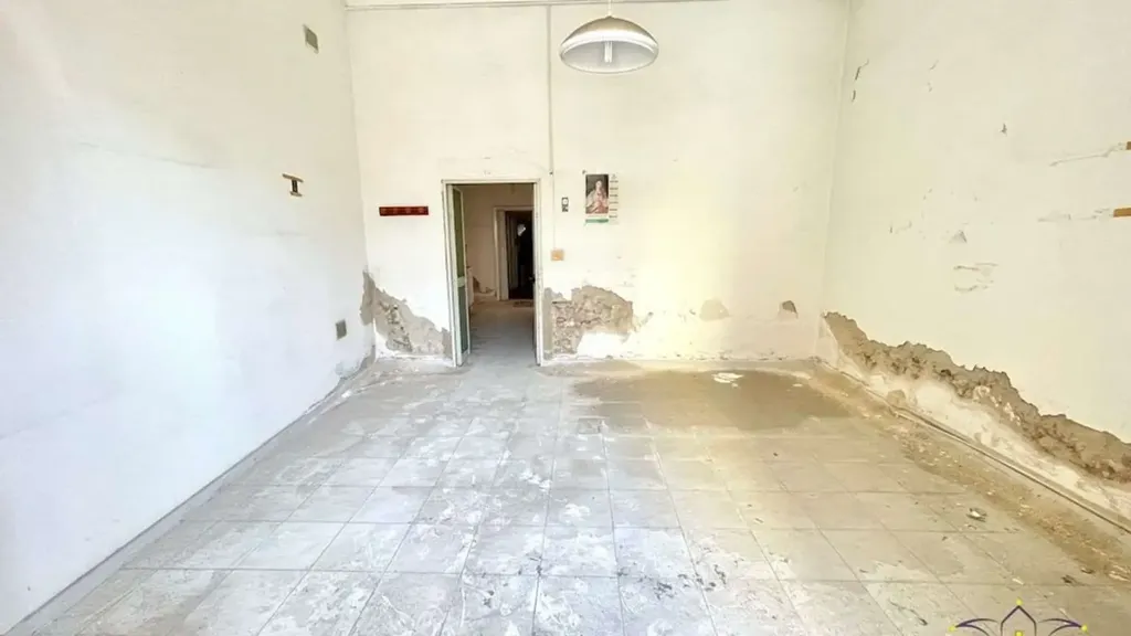 Toad - Villa with Apartments in Siracusa's Borgata