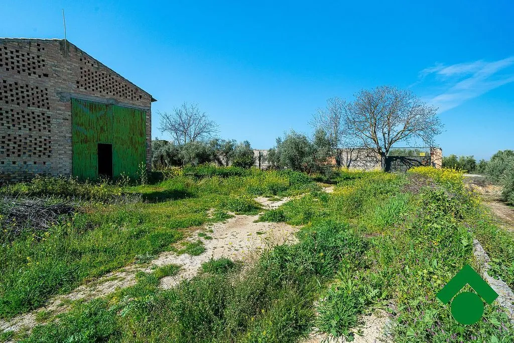 Giardino - Rustic Farmhouse with Terrace in Chauchina