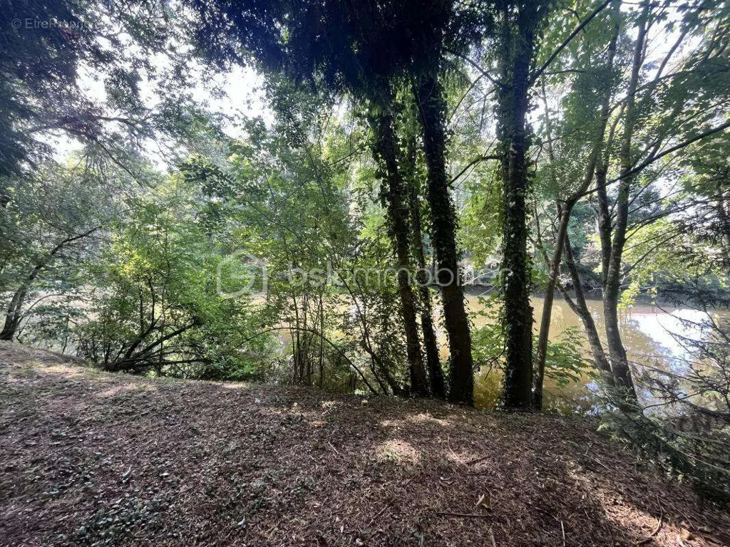 Giardino - Exceptional Plot with River Access in Montaigu Centre