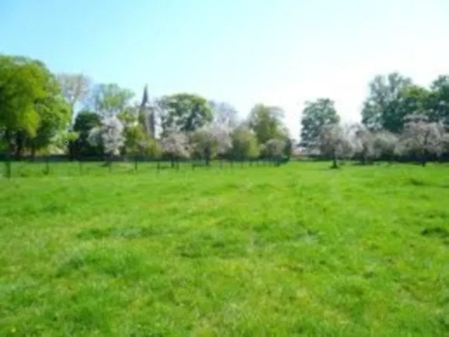 Garden - New Build House with Garden in Messon