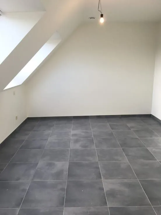 Toad - East-Facing Flat with Large Window in Halle