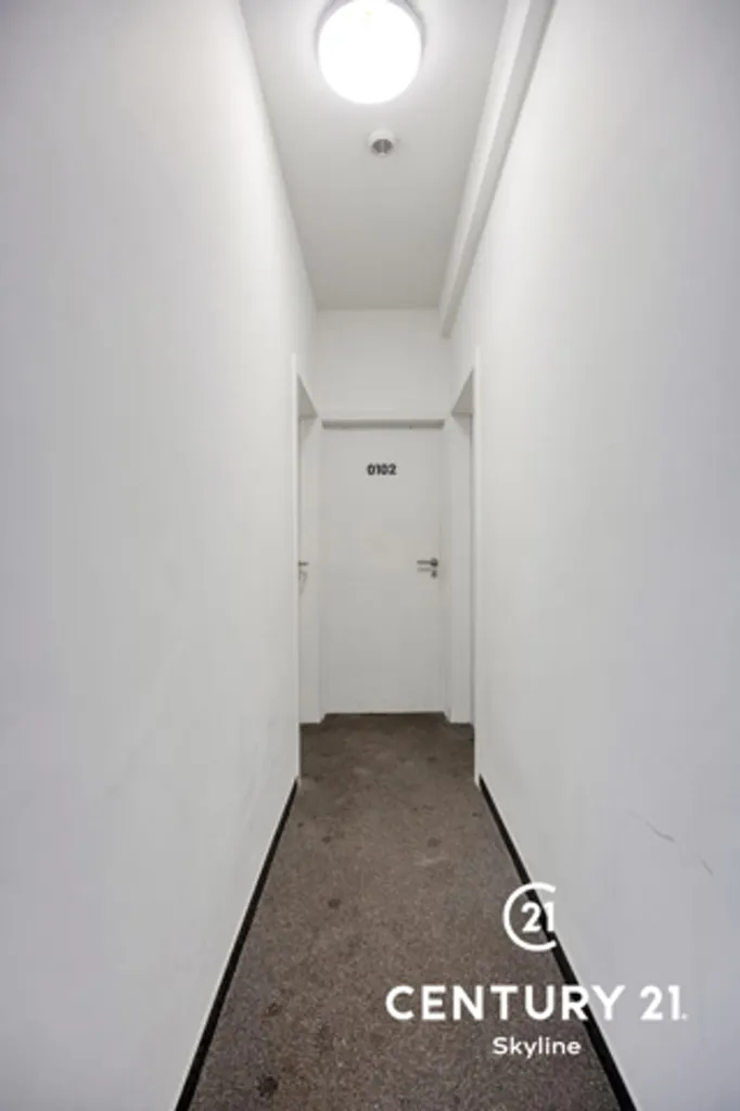 Ingresso - Fully Renovated Studio with Park View in Leuven