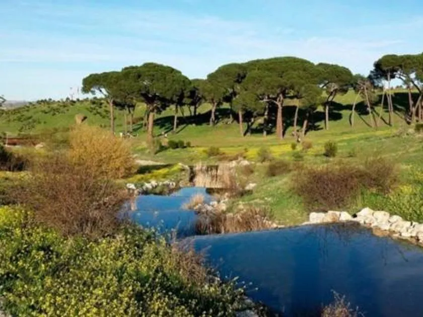 Giardino - Detached Chalet with Garden in Valdebebas