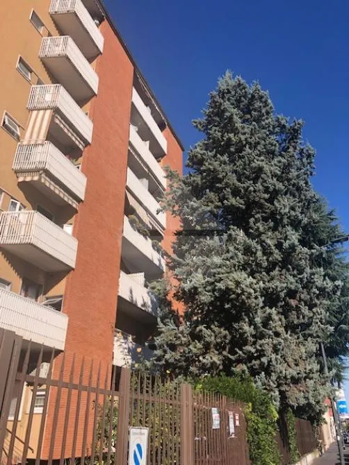 Esterno - Armed Studio in Central Milan