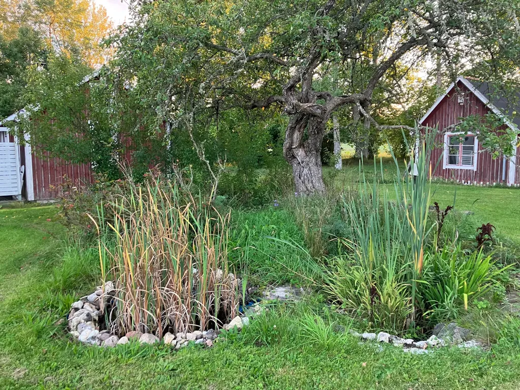 Jardin - Renovated Cottage with Workshop in Gotland