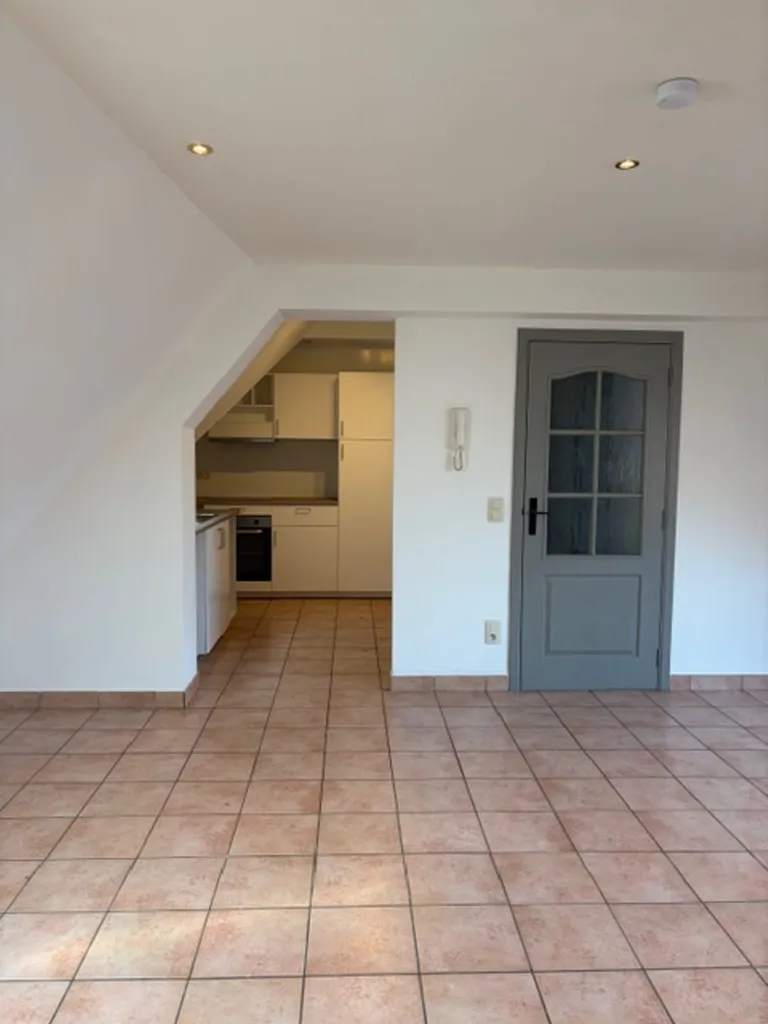 Toad - Spacious Apartment in Marche Centre