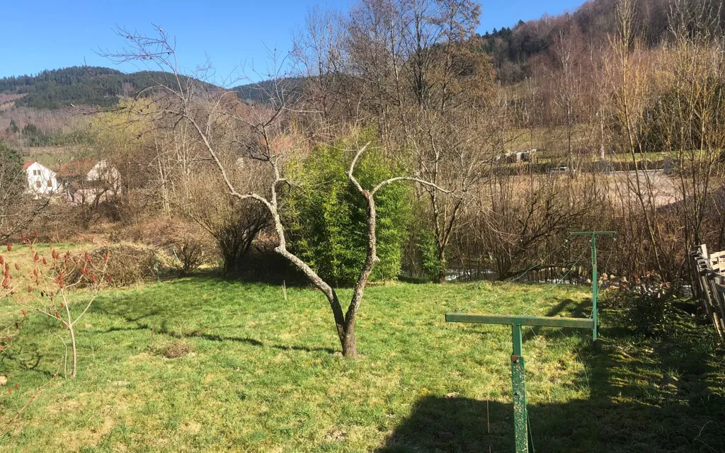 Jardin - Maison Mitoyenne avec Terrasse dans le Parc des Vosges