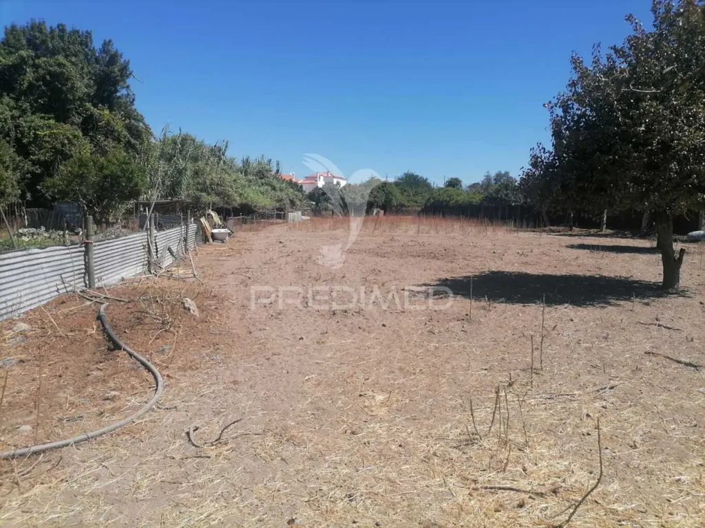 Jardin - Land Plot in Alagoa Centre