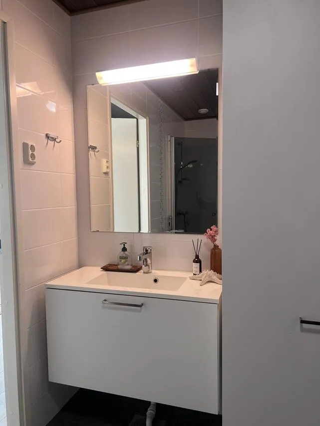 Vannitoad - Apartment with Sauna in Karjaranta, Pori