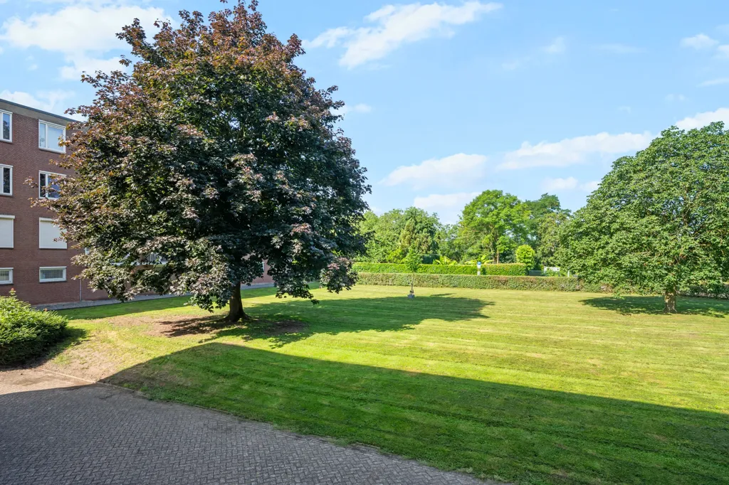 Garden - Apartment with Sea View in Buchten