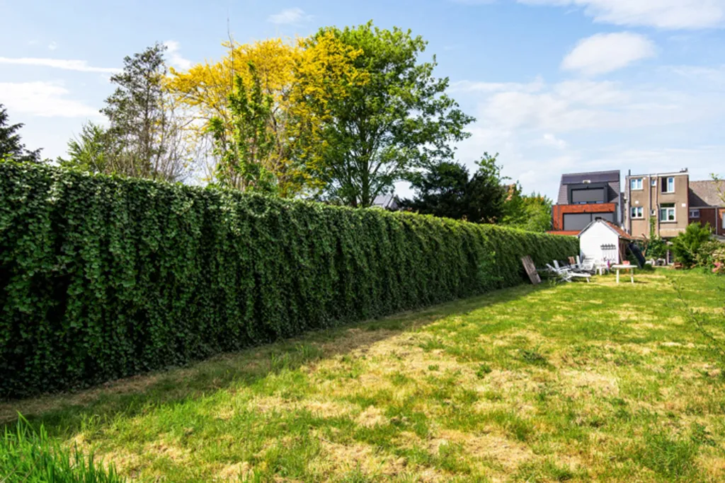 Aed - Income Property with Garden in Aartselaar Centre