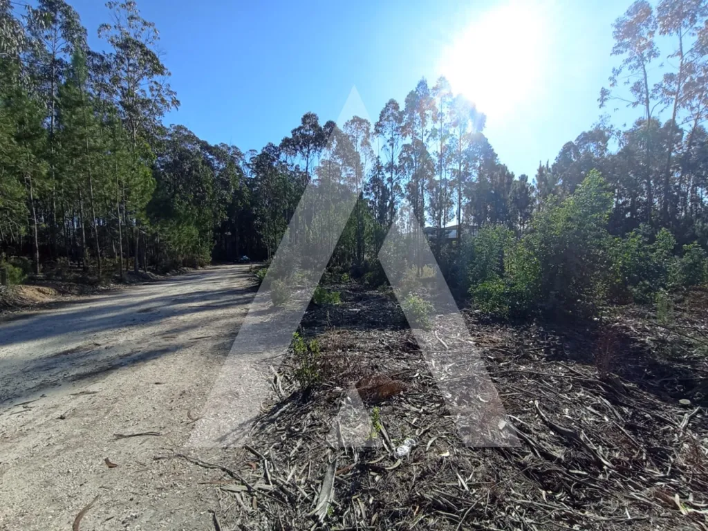 Aed - Industrial Plot with Strategic Access in Zicofa