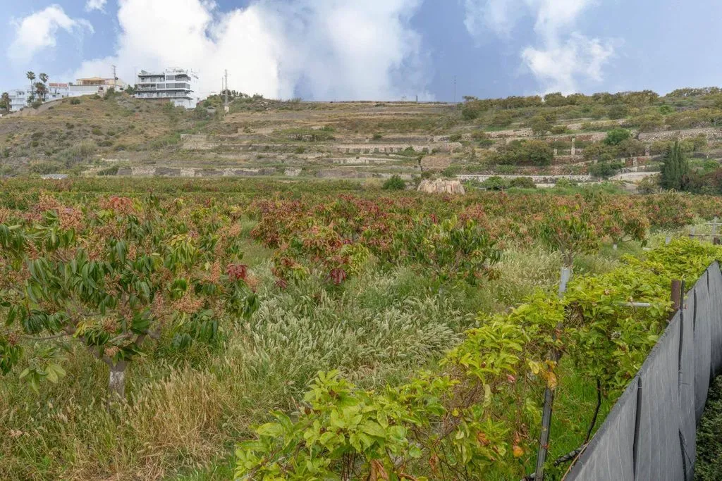 Aed - Development Land with Sea View in Salobreña