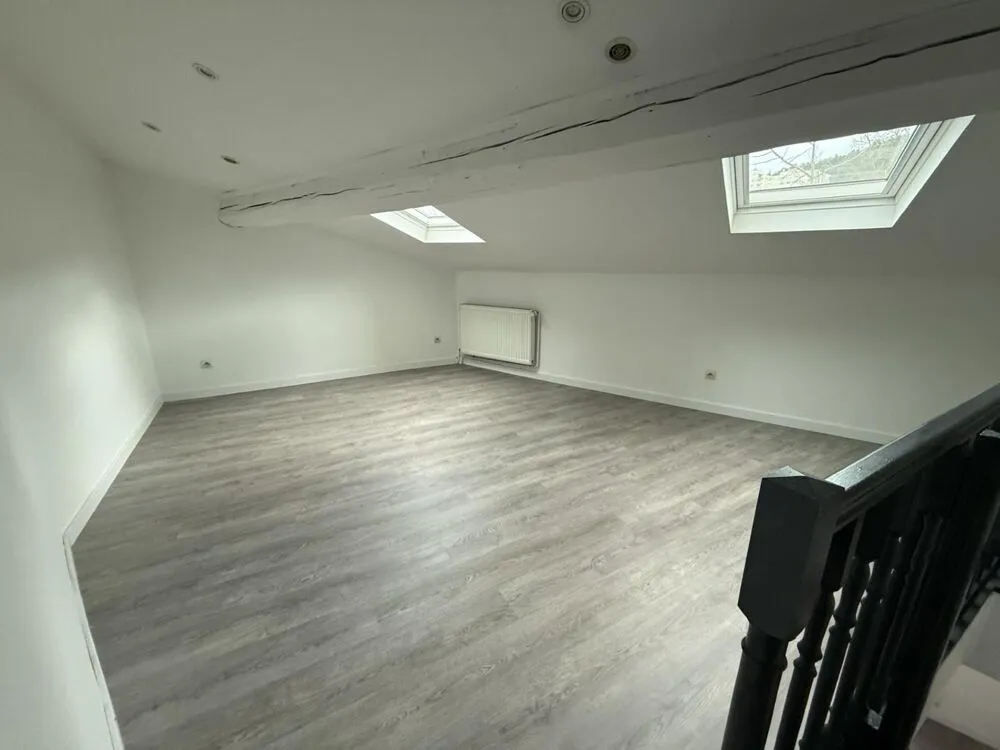 Toad - Duplex Apartment with Mansarded Room in St Etienne