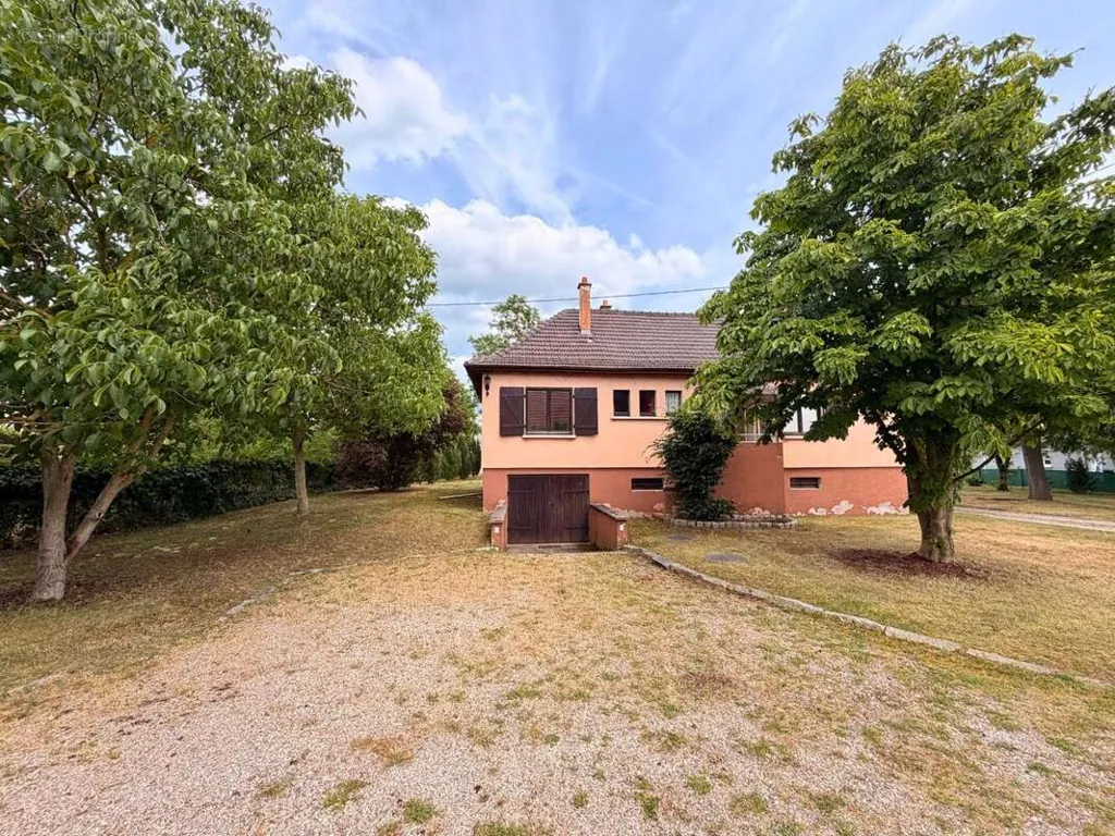 Extérieur - Bungalow avec jardin à Hirtzfelden