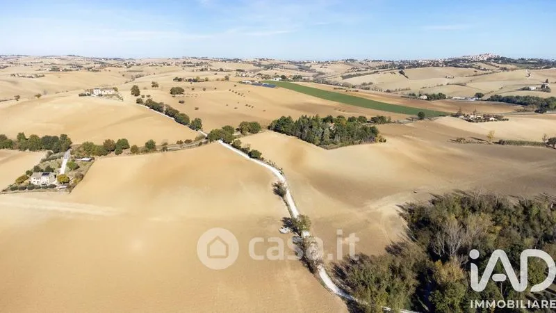 Vista aerea - Traditional Rustico with Olive Trees in Appignano