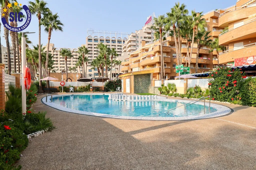 Bassein - Beachfront Apartment with Sea View in Marina D'Or