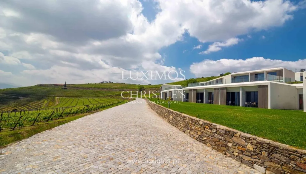 Aed - 5-Star Quinta with Vineyard Views in Douro Valley