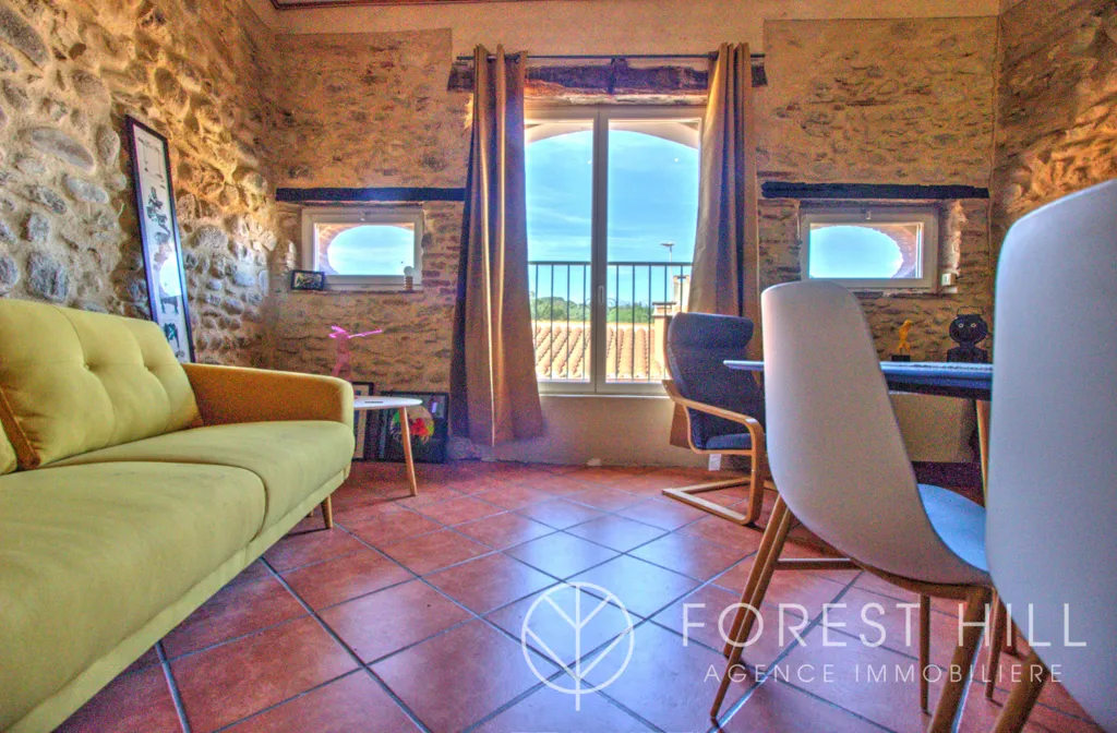 Elutuba - Stone Loft with Mezzanine in Céret Centre