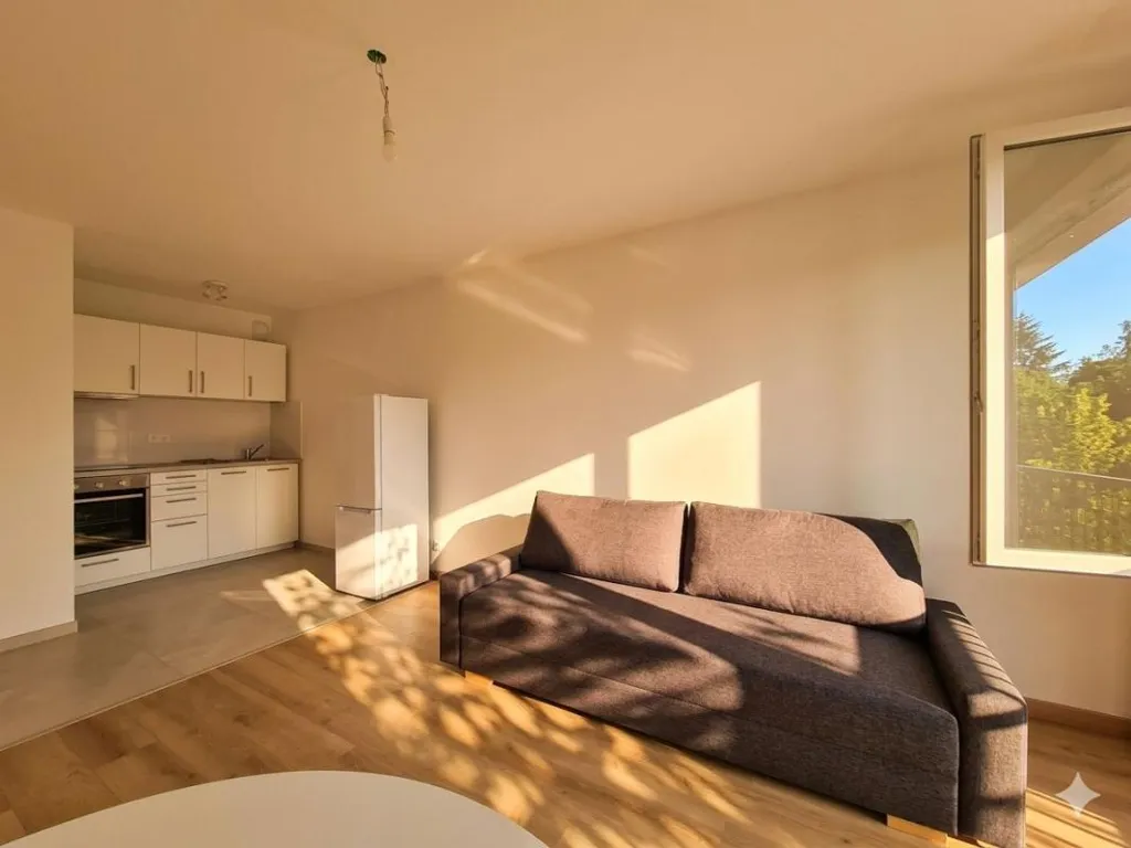Living Room - 1-room apartment in Noisy-le-Grand