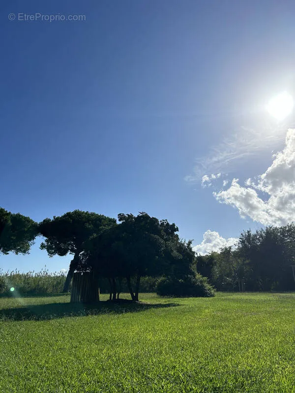 Giardino - Studio with Pool and Beach Proximity in Sainte-Lucie de Moriani