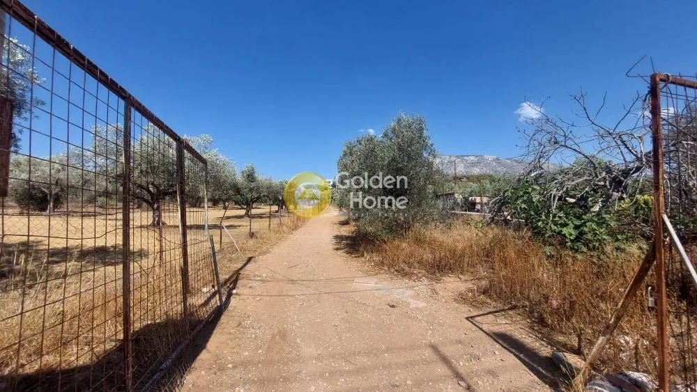 Aed - Warehouse with Storage in Koropi - Karelles