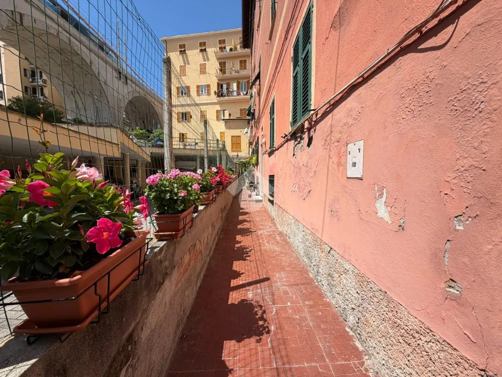 Aed - Monolocale with Private Courtyard in Bogliasco