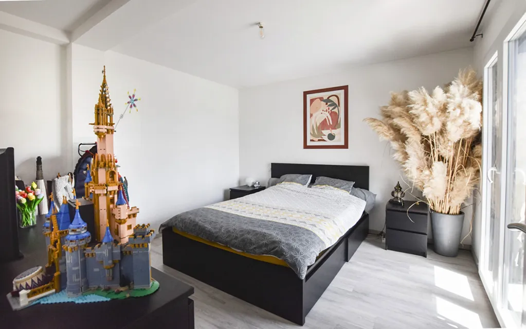Magamistoad - Recent Flat with Terrace in Dole Centre
