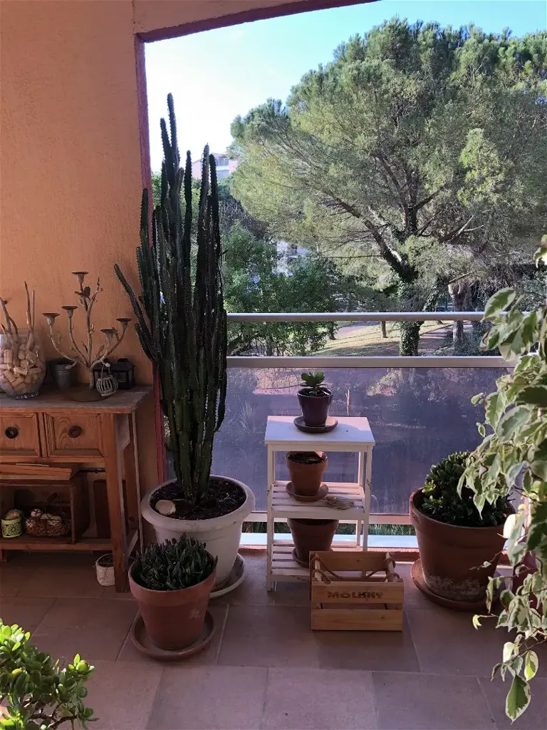 Terrazza - Meubled Flat with Terrace in Le Cannet