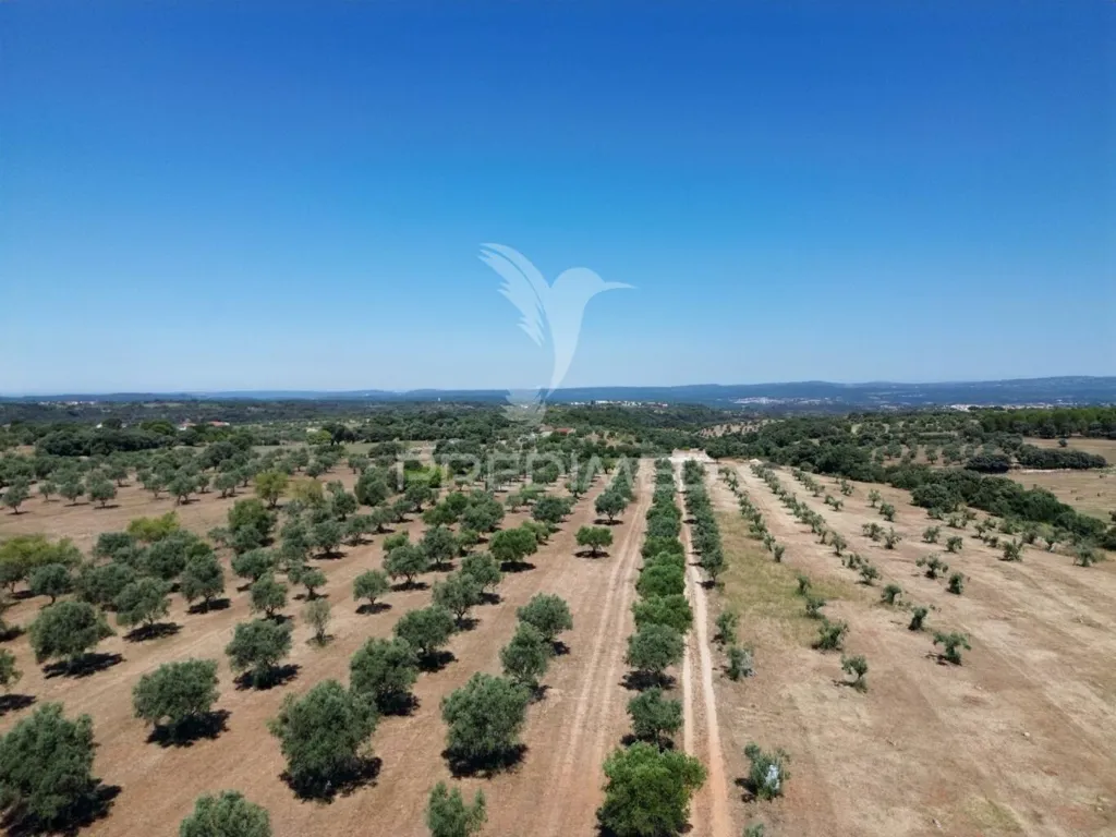 Vue aérienne - Rural Quinta with Olive Grove in Vaqueiros