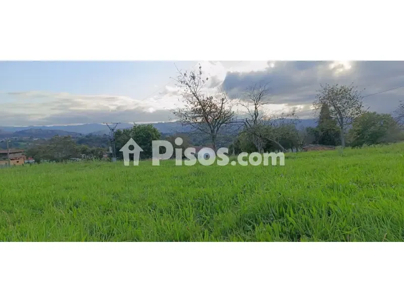 Jardin - Rustic Finca with Land in Noreña