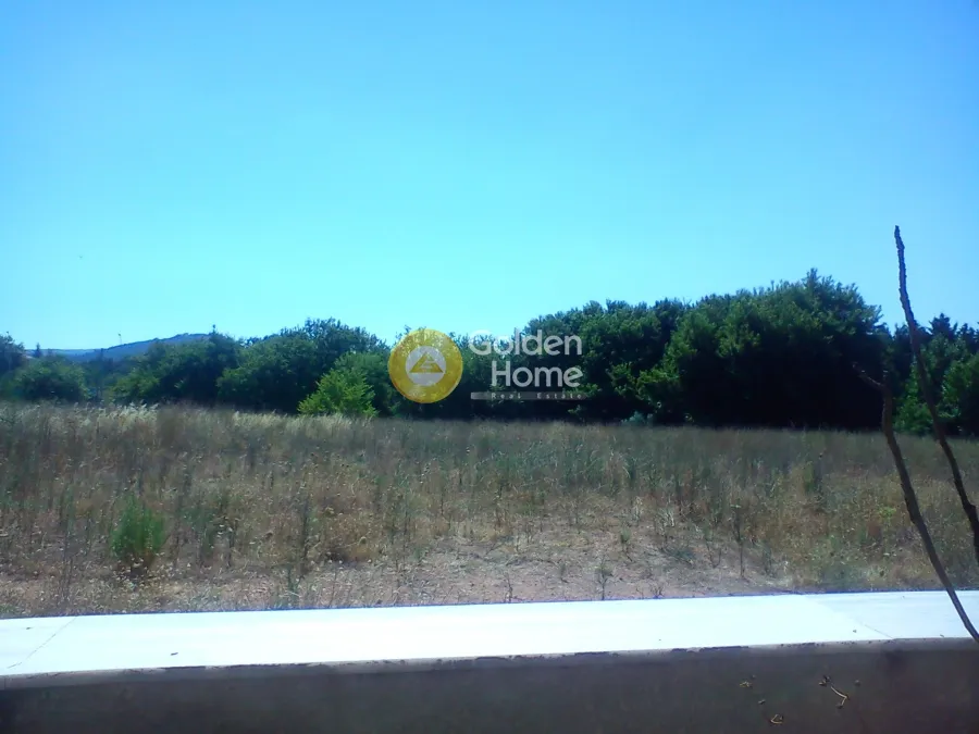 Garden - Agricultural Plot with Unrestricted View in Kiparissia