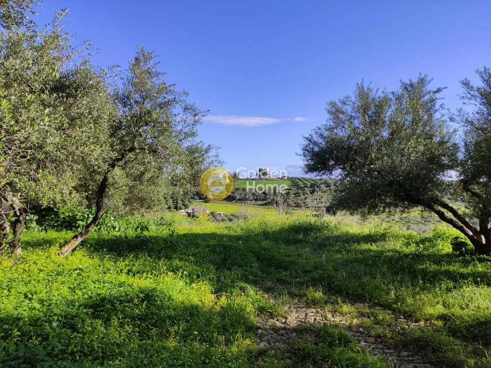 Garden - Building Land with Mountain View in Sylamos, Heraklion