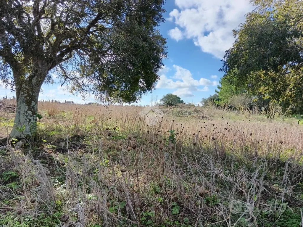 Rustico with Land in Valderice