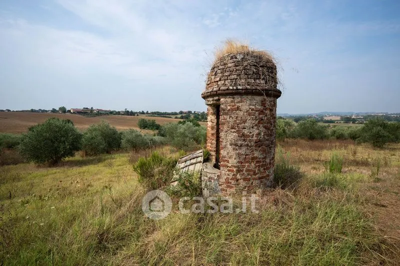 Aed - Rustic Casale with Olive Grove in Occimiano