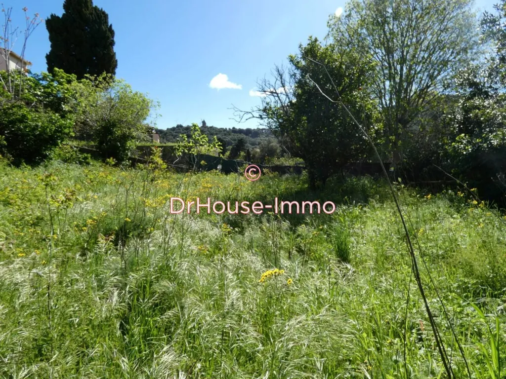 Aed - Buildable Plot with Sea View in Collioure