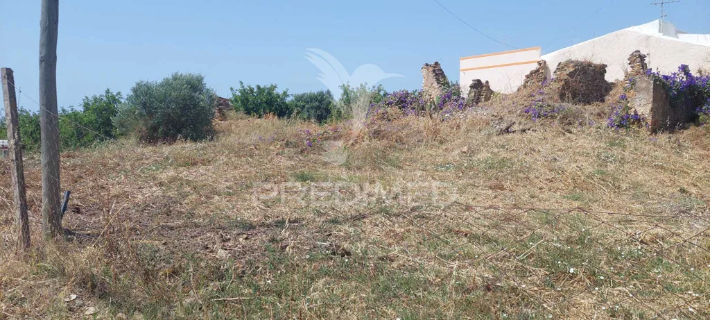 Jardin - Ruin with Garden near Ria Formosa