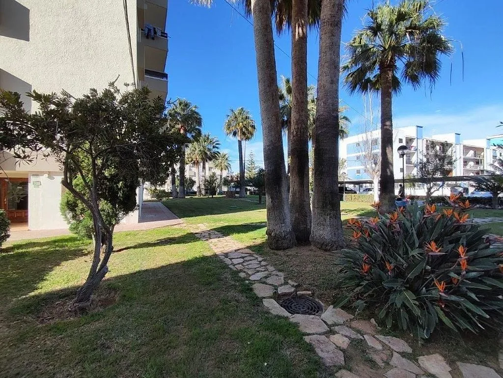 Jardin - Studio with Garden and Garage near Dénia