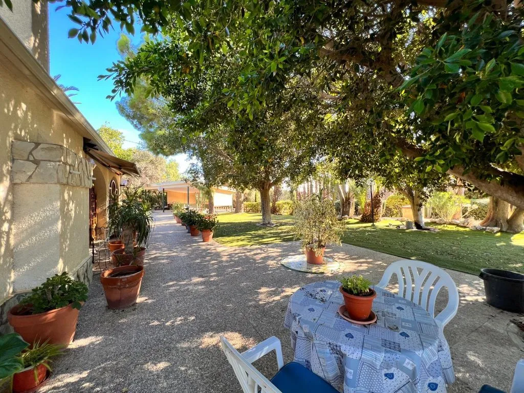 Terrass - Detached House with Pool in Elche