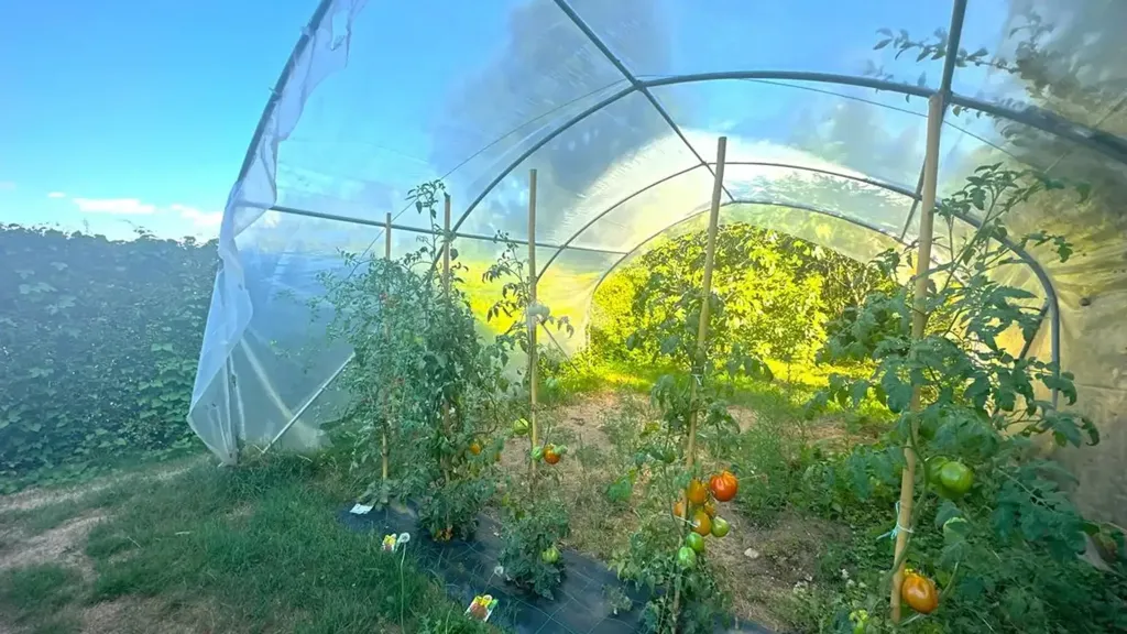 garden