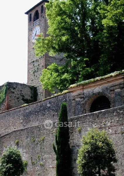 Giardino - Penthouse con vista in centro a Volta Mantovana