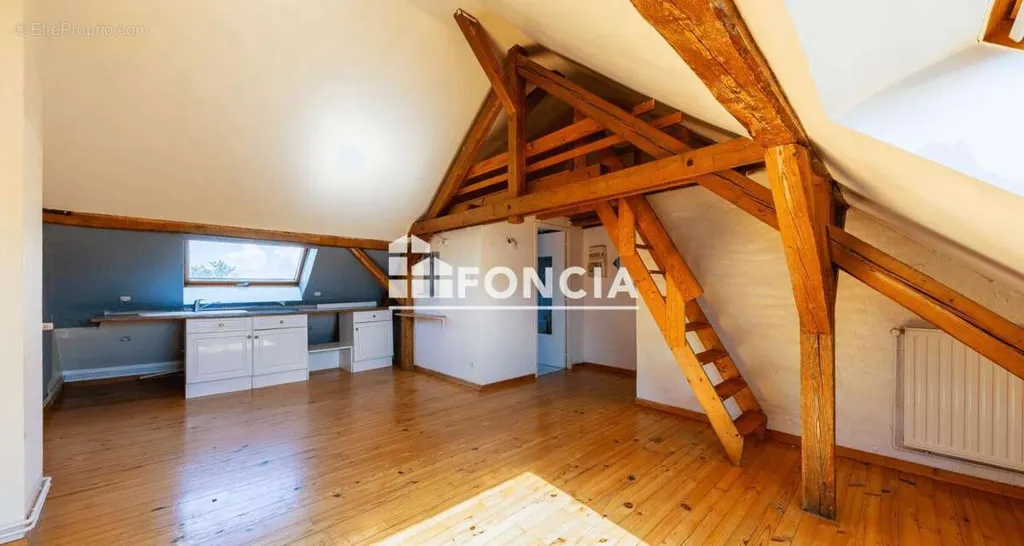 Pièces - Studio Traversant avec Mezzanine à Strasbourg