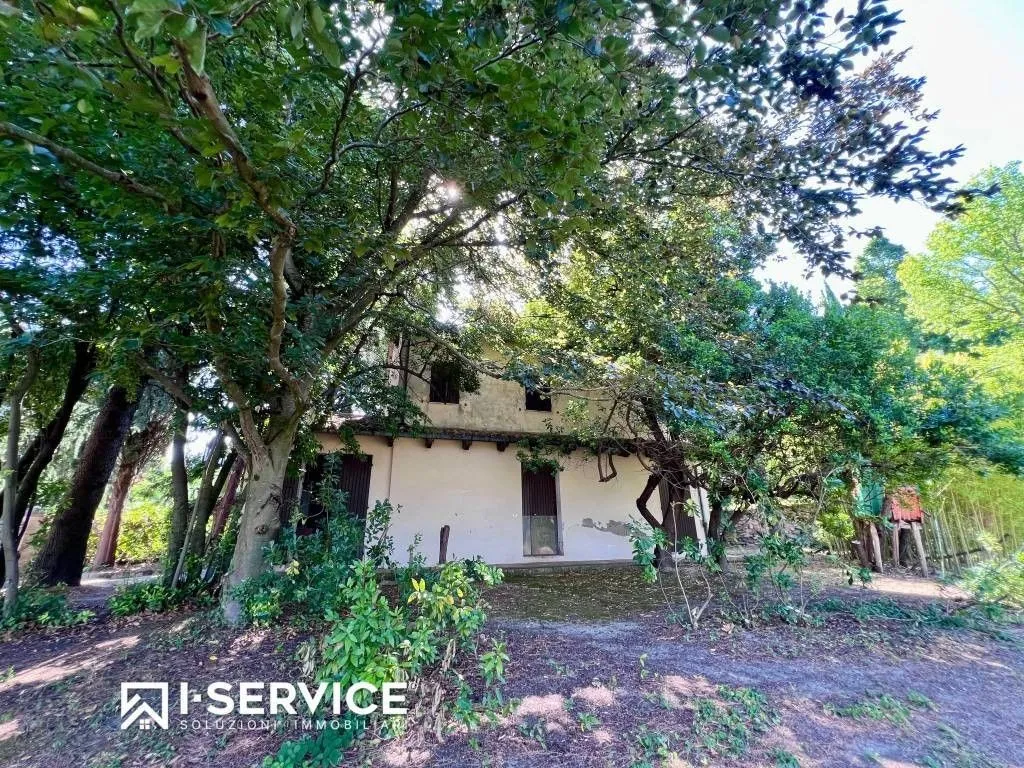 Esterno - Luxury Villa with Pool in Cesena