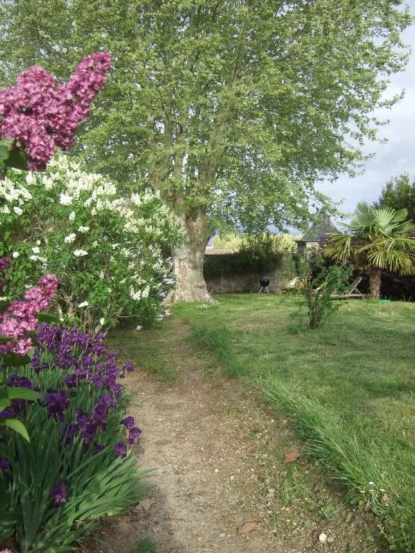 Aed - Charming Stone House with Garden in Pauillac