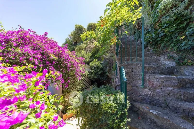 Jardin - Attico with Sea View in Monte Argentario