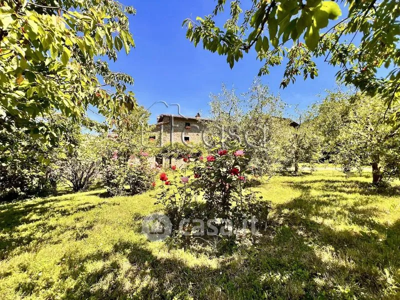 Aed - Rustic Tuscan Casale with Olive Grove in Anghiari