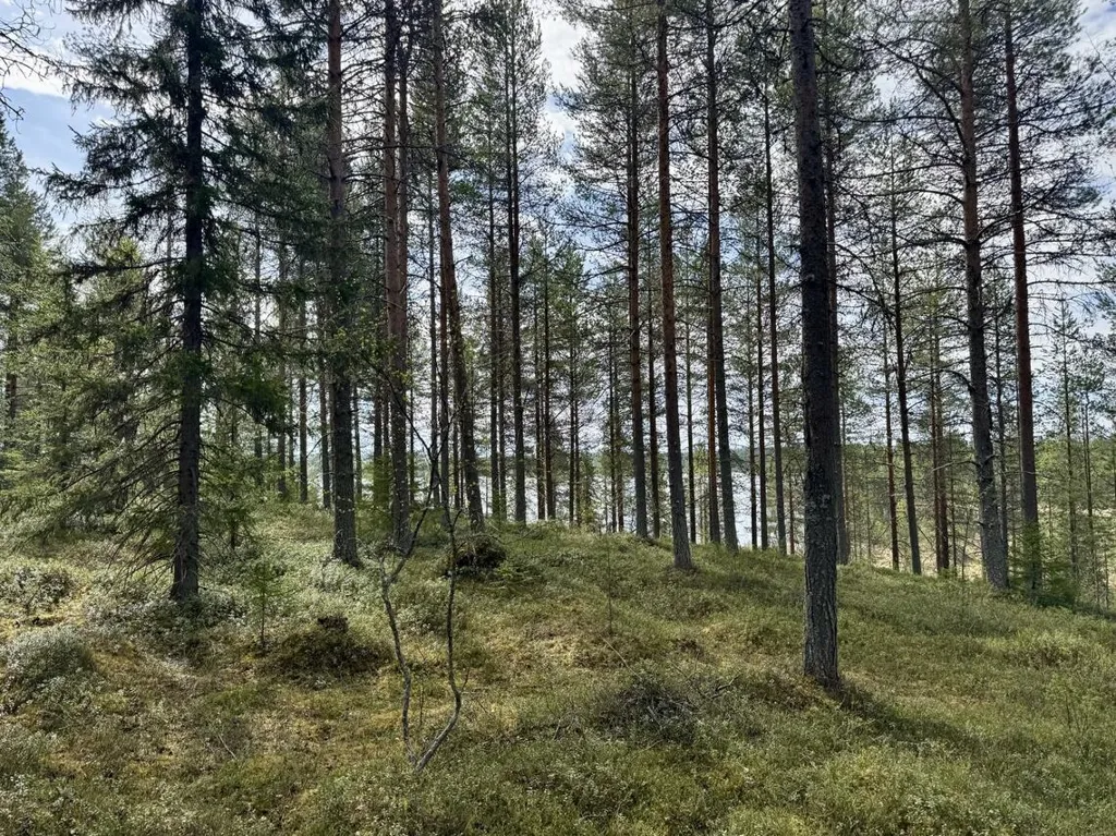 Jardin - Unbuilt Plot with Lakefront in Kuusamo