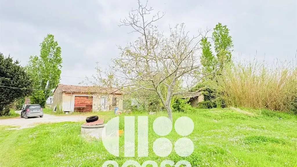 Jardin - Rustic House to Renovate in Cesenatico